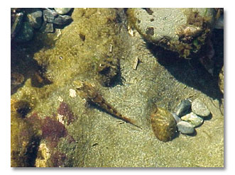 photos Juan de Fuca Marine Trail pictures